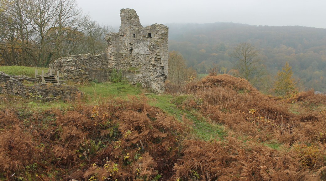 Caergwrle Castle is located in the town of Caergwrle, in Flintshire, Wales. It was the final castle to be built by Welsh Princes, before the loss of Welsh independence in 1282.