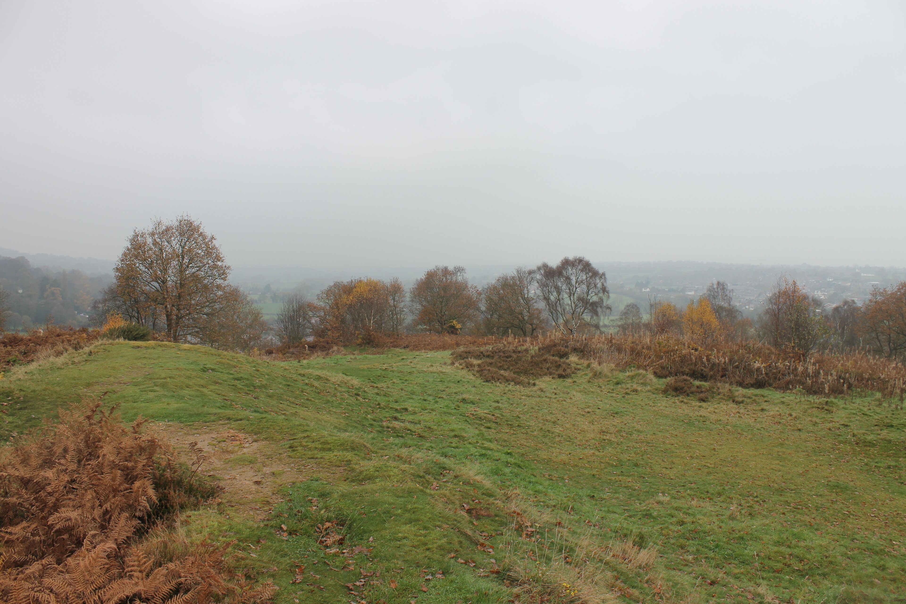 Caergwrle Castle is located in the town of Caergwrle, in Flintshire, Wales. It was the final castle to be built by Welsh Princes, before the loss of Welsh independence in 1282.
