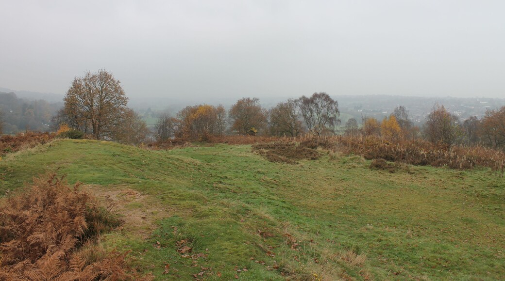 Caergwrle Castle is located in the town of Caergwrle, in Flintshire, Wales. It was the final castle to be built by Welsh Princes, before the loss of Welsh independence in 1282.