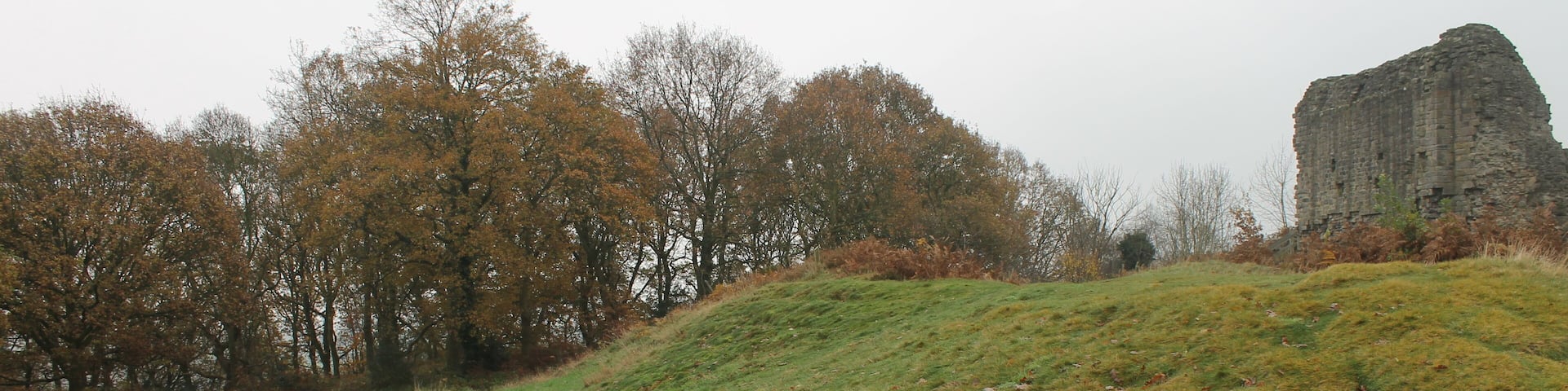 Caergwrle Castle is located in the town of Caergwrle, in Flintshire, Wales. It was the final castle to be built by Welsh Princes, before the loss of Welsh independence in 1282.