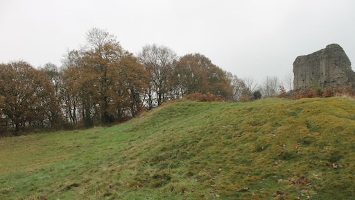 Caergwrle Castle is located in the town of Caergwrle, in Flintshire, Wales. It was the final castle to be built by Welsh Princes, before the loss of Welsh independence in 1282.