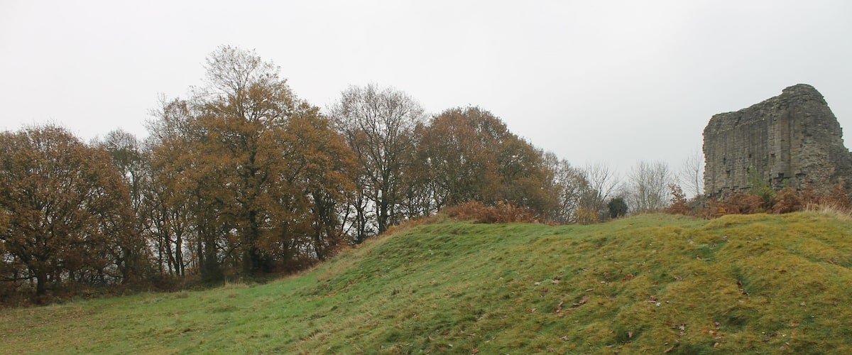 A grassy hill with autumn-colored trees and a large rock formation.