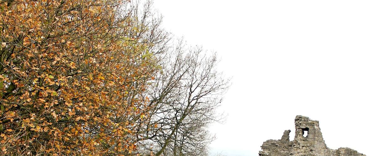 Caergwrle Castle is located in the town of Caergwrle, in Flintshire, Wales. It was the final castle to be built by Welsh Princes, before the loss of Welsh independence in 1282.