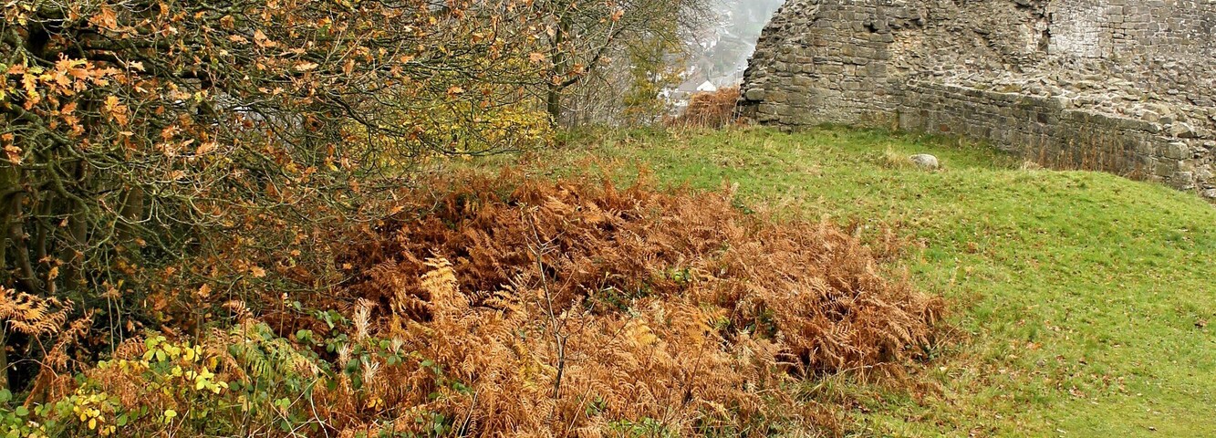 Caergwrle Castle is located in the town of Caergwrle, in Flintshire, Wales. It was the final castle to be built by Welsh Princes, before the loss of Welsh independence in 1282.
