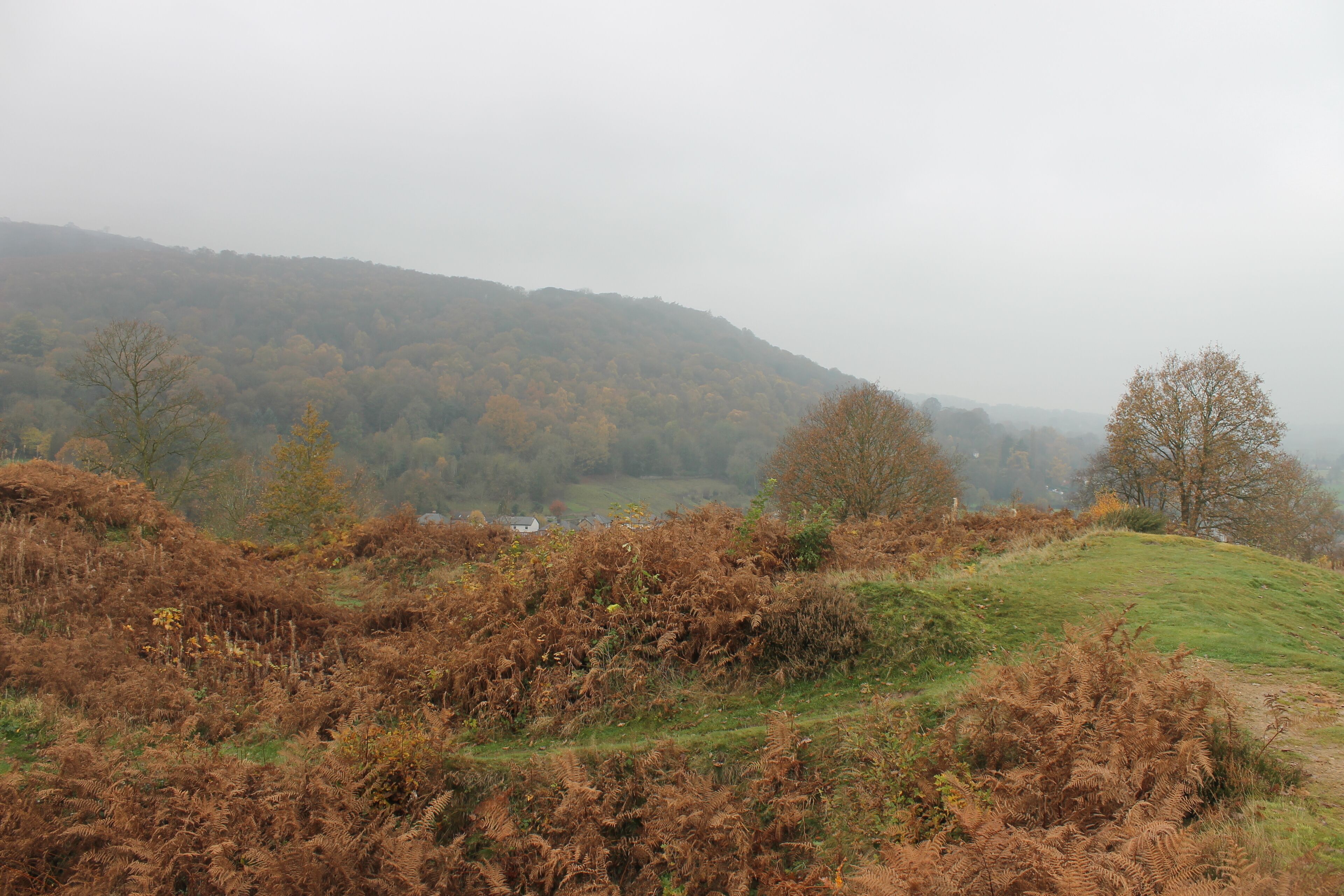 Caergwrle Castle is located in the town of Caergwrle, in Flintshire, Wales. It was the final castle to be built by Welsh Princes, before the loss of Welsh independence in 1282.