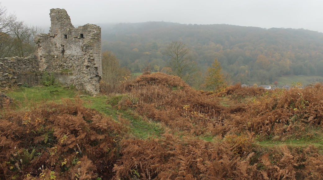 Caergwrle Castle is located in the town of Caergwrle, in Flintshire, Wales. It was the final castle to be built by Welsh Princes, before the loss of Welsh independence in 1282.