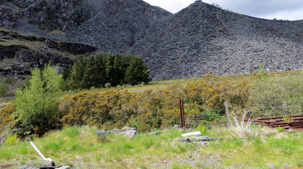 Slte tip close to Blaenau - June 2013