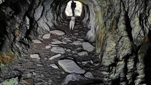 Exploring the caves and mines of Wrysgan quarries in the Moelwyns in North Wales 🏴🥾🐾