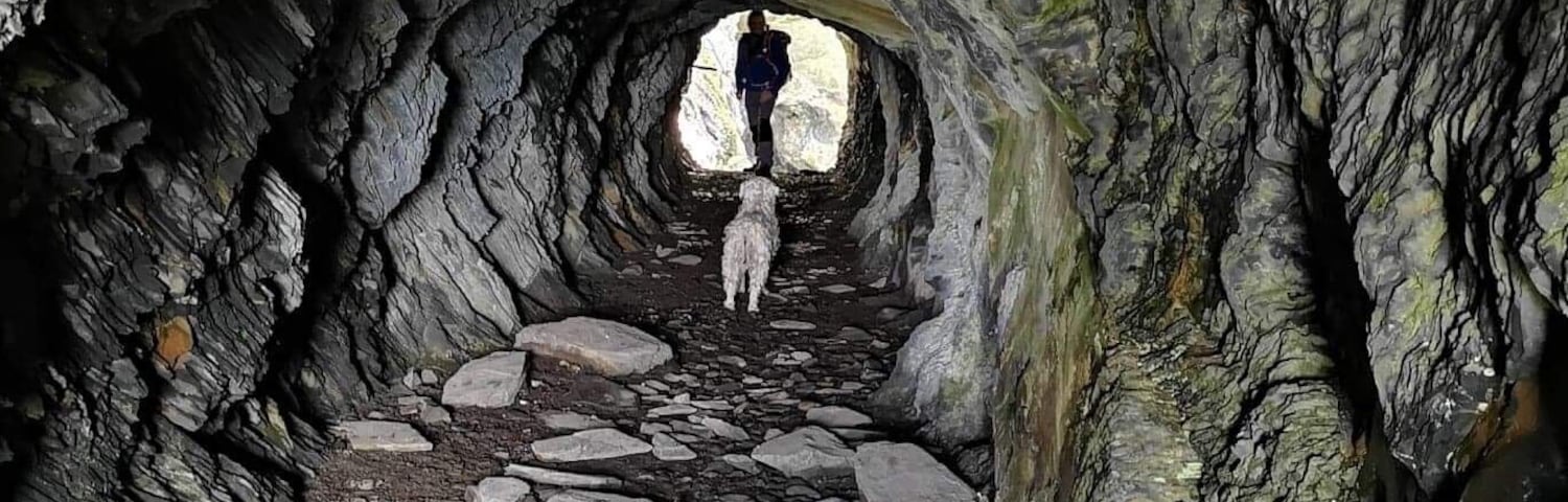 Exploring the caves and mines of Wrysgan quarries in the Moelwyns in North Wales 🏴🥾🐾