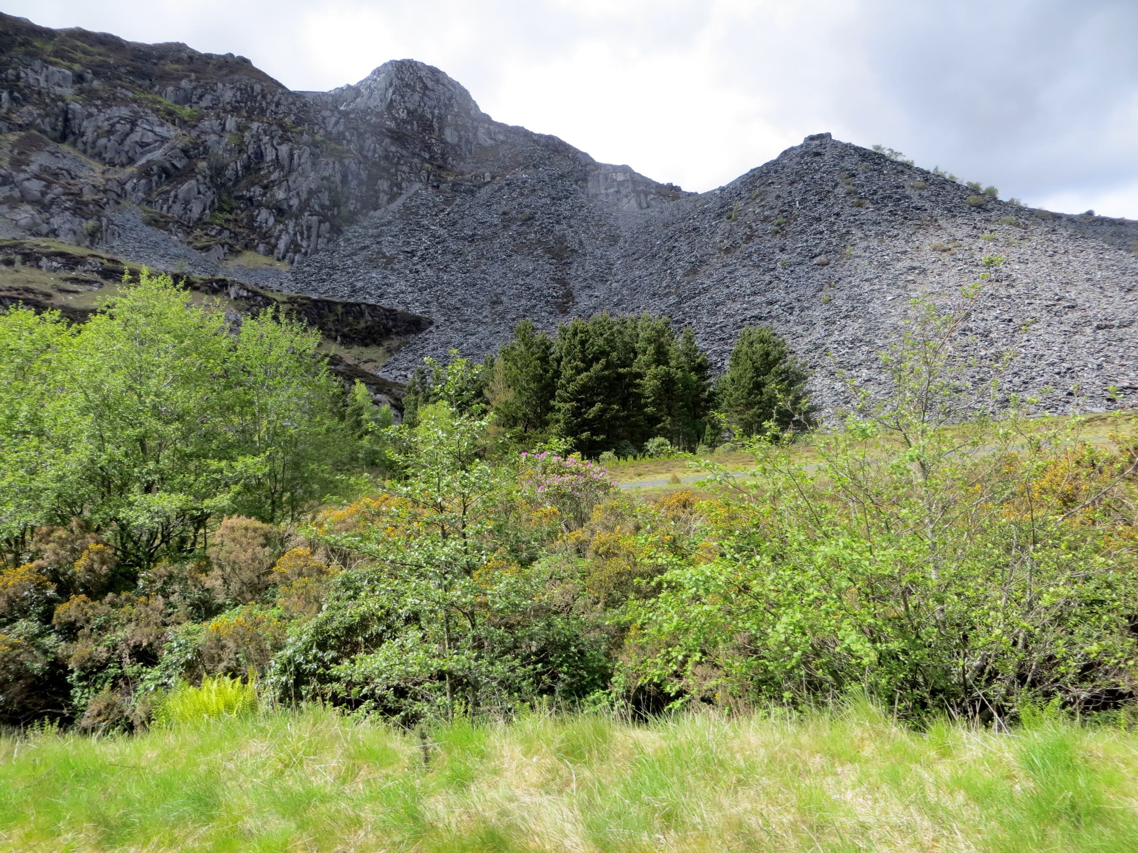 Slate quarry from the railway - 1st June 2013