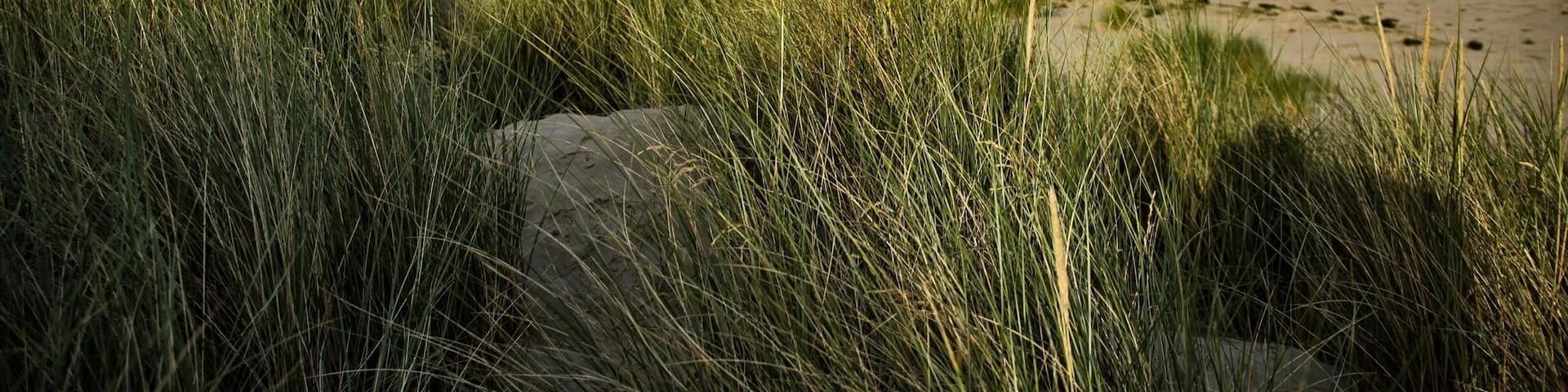 Black Rock sands Porthmadog Wales Uk. About an hour before the sun setting.
Thereâs plenty of accommodation in the area and right next to the beach. The beach itself is large and has panoramic views, you can also drive your car onto the beach for a fee so ideal for day trips in the car.