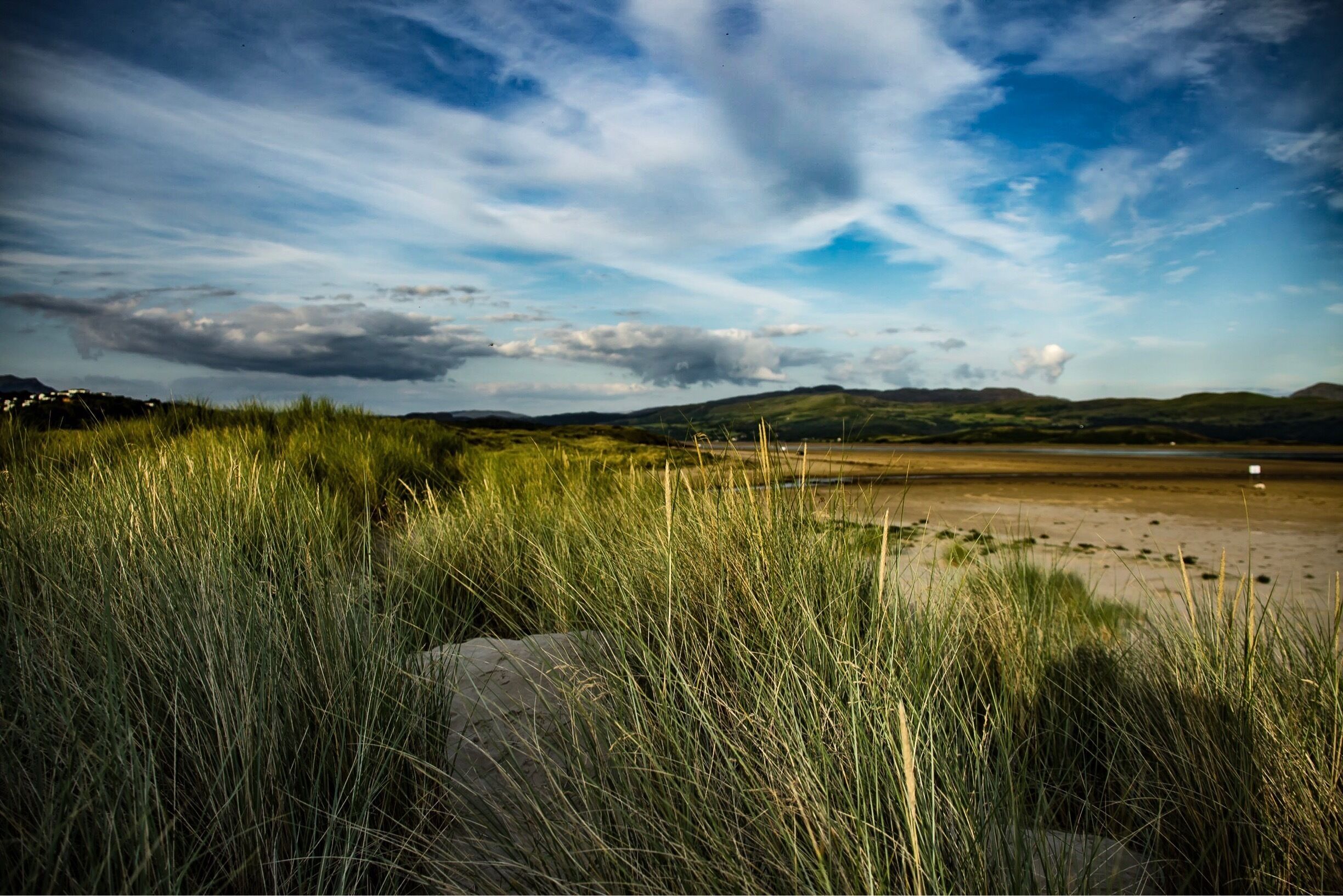 A grassy field with a large rock in the foreground and a cloudy sky.