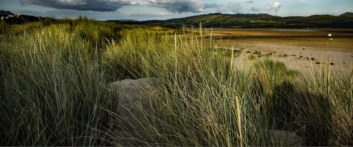 A grassy field with a large rock in the foreground and a cloudy sky.