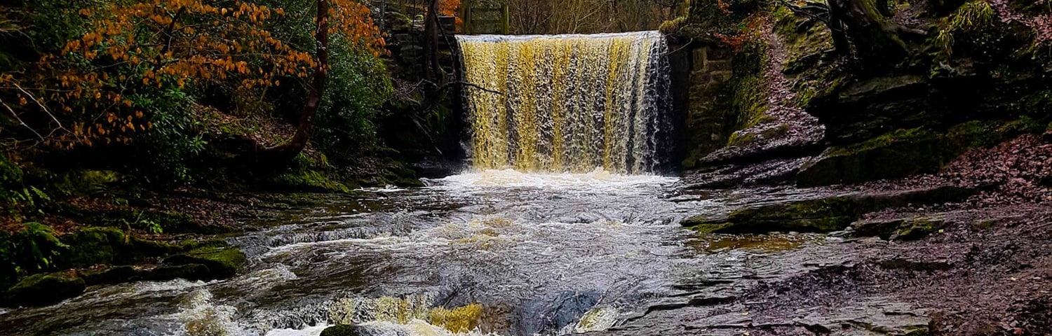 Walk around Nant Mill wood fantastic