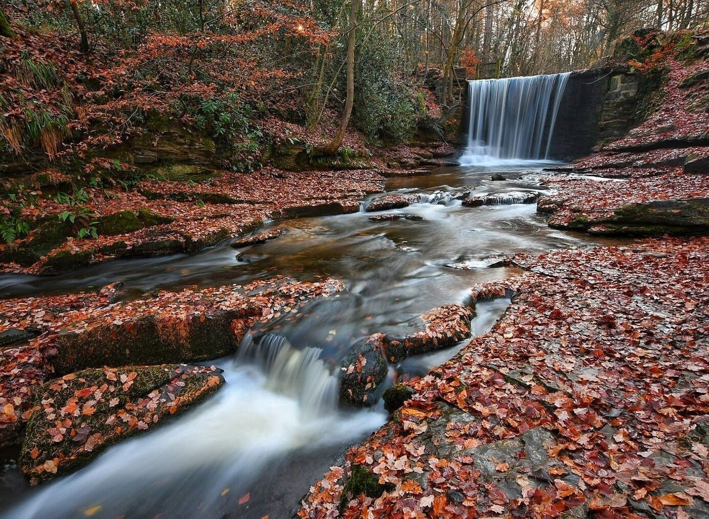 Waterfall at Nant Mill near Wrexham. Love the colours of the fallen Autumn leaves alongside the Waterfall and stream. A big thanks to Paul Compton Photography in Nantwich who took me out on a workshop and this is when the photo was taken. Highly recommended. #waterfall #autumn #travel #roadtrip