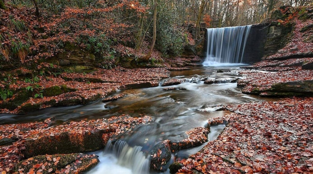 Waterfall at Nant Mill near Wrexham. Love the colours of the fallen Autumn leaves alongside the Waterfall and stream. A big thanks to Paul Compton Photography in Nantwich who took me out on a workshop and this is when the photo was taken. Highly recommended. #waterfall #autumn #travel #roadtrip