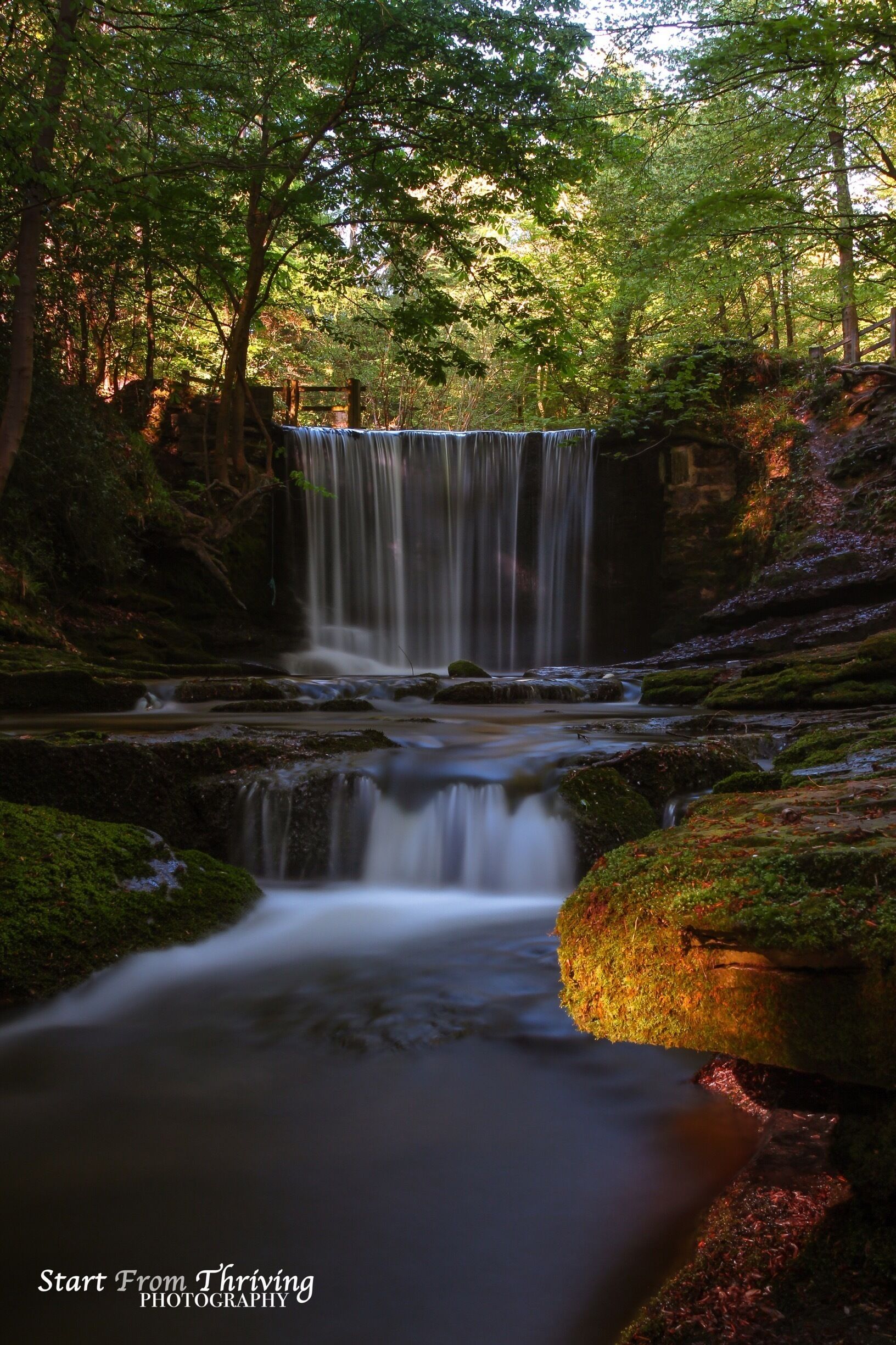 Plas Power Woods water fall