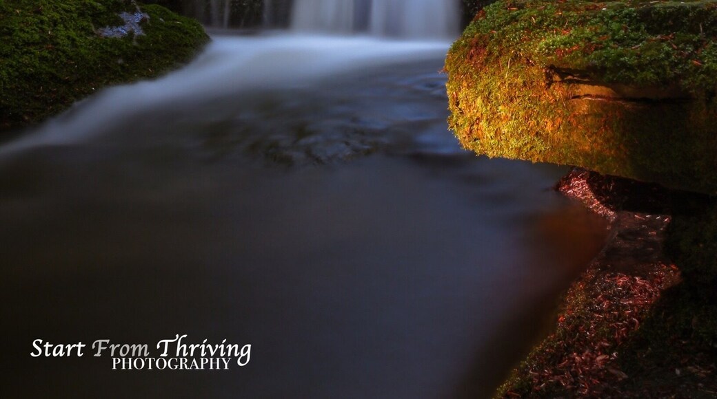 Plas Power Woods water fall