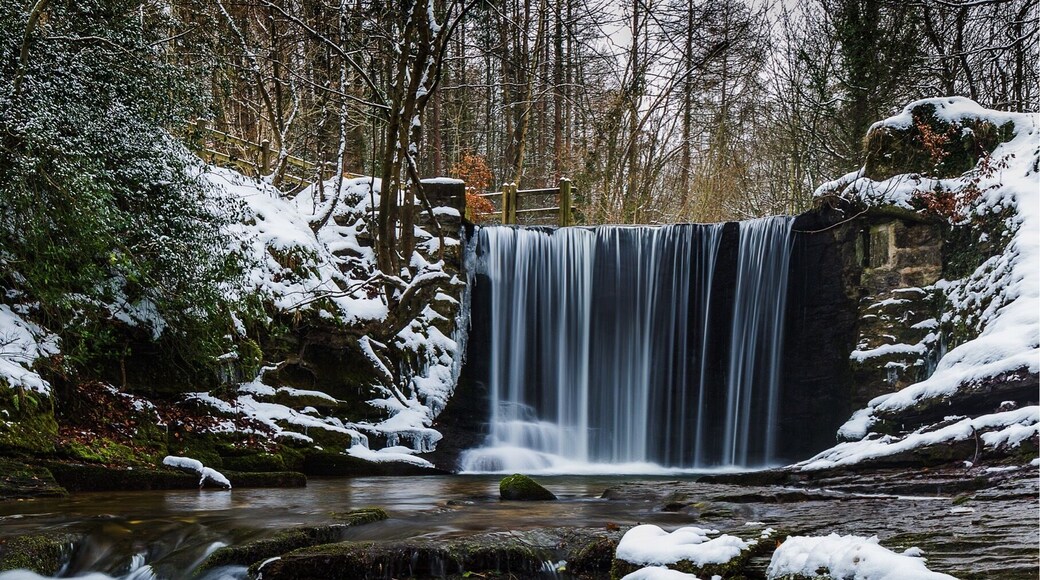 Stunning forest walk from Nant mill visitor centre. We have been here a few times but on this occasion it was thick snow. To find this Waterfall just follow the flow of the river down through the forest, some other nice spots along the way too. Great for dogs here.