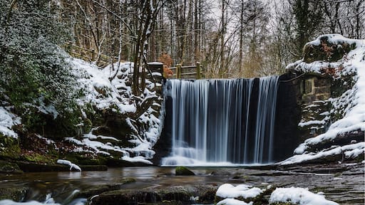 Stunning forest walk from Nant mill visitor centre. We have been here a few times but on this occasion it was thick snow. To find this Waterfall just follow the flow of the river down through the forest, some other nice spots along the way too. Great for dogs here.