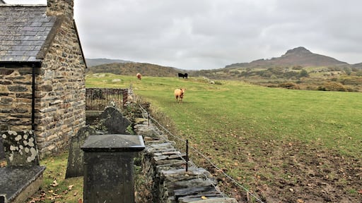 Eglwys Sant Cynhaiarn / Cynhaearn, near Cricieth, North Wales