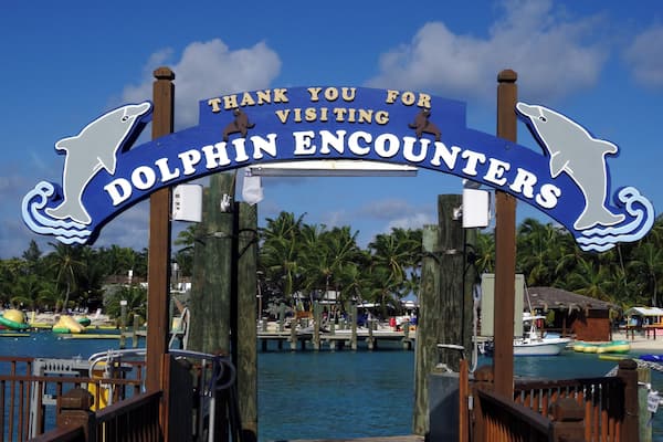 #Bahamas #BlueLagoonIsland
This island has many attractions such as encounter with dolphins and kayaks, but the real attraction is the water full of fish and an indescribable transparency.
Esta ilha possui diversos atrativos como encontro com golfinhos e caiaques, mas o verdadeiro atrativo é a água repleta de peixes e de uma transparência indescritível.