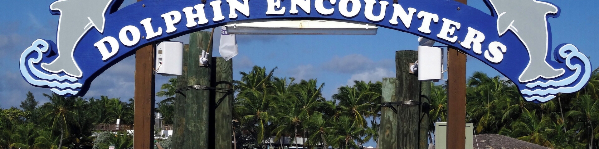 #Bahamas #BlueLagoonIsland
This island has many attractions such as encounter with dolphins and kayaks, but the real attraction is the water full of fish and an indescribable transparency.
Esta ilha possui diversos atrativos como encontro com golfinhos e caiaques, mas o verdadeiro atrativo é a água repleta de peixes e de uma transparência indescritível.