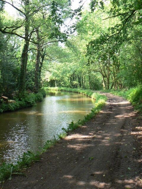Mon & Brecon canal, near Mamhilad