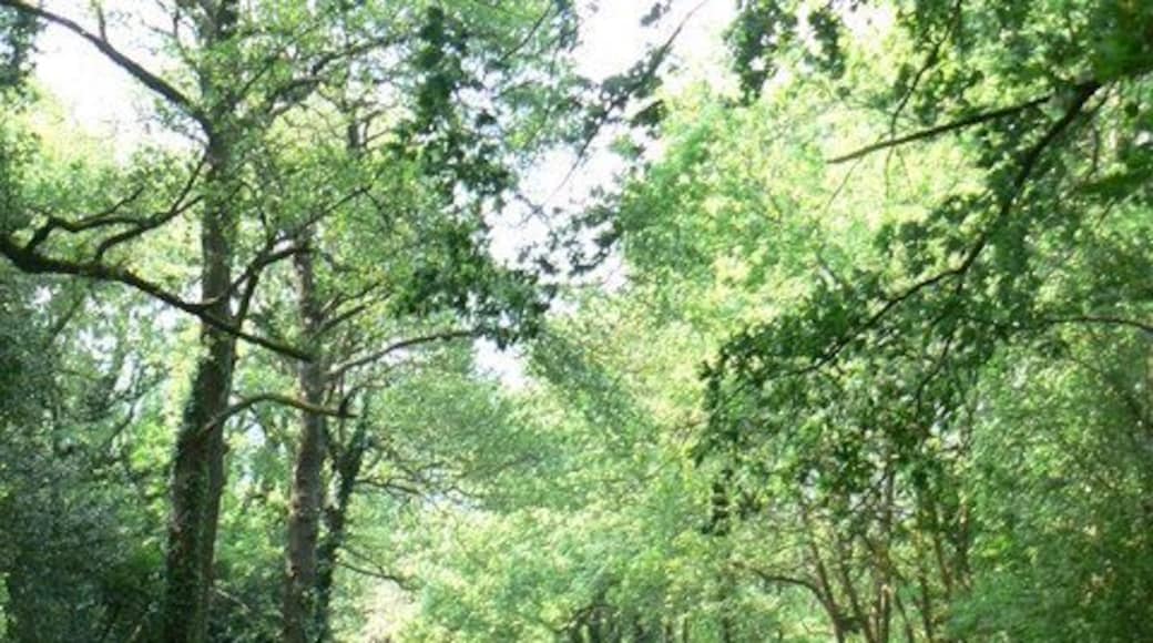 Mon & Brecon canal, near Mamhilad
