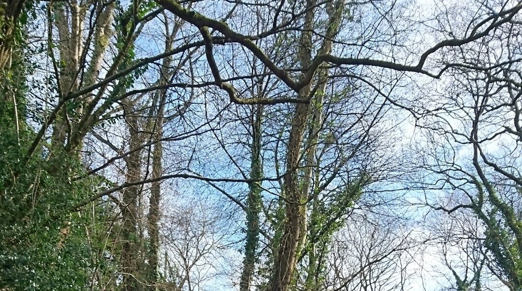 Perfect day for a cycle on the canal bank, I need to do this more often it's so rewarding