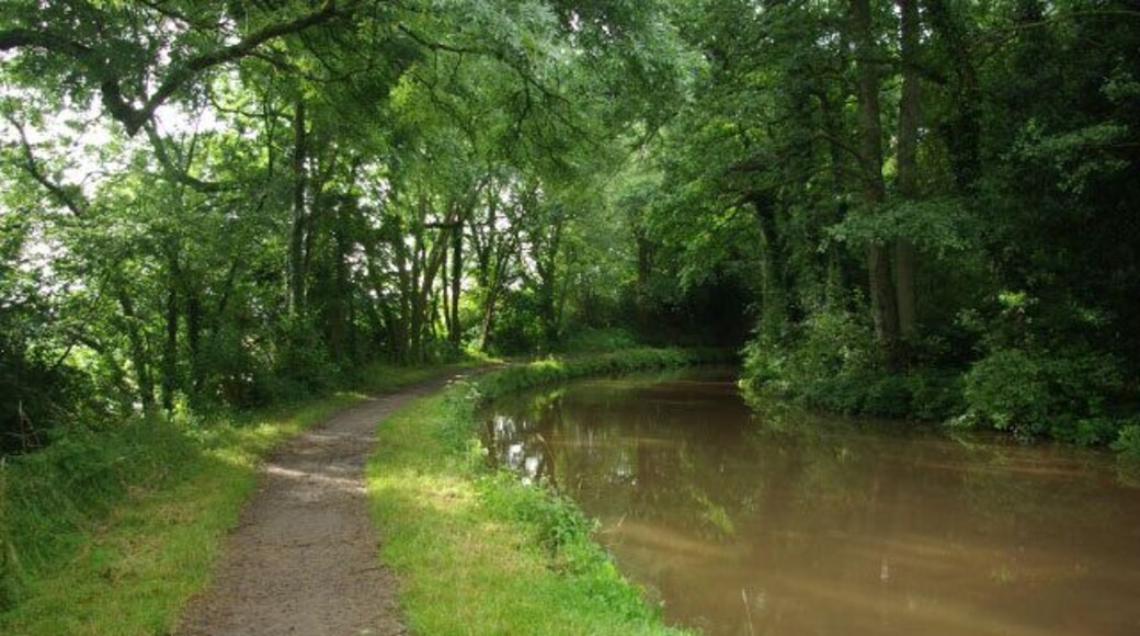 Monmouthshire & Brecon Canal, Mamhilad The Monmouthshire and Brecon Canal is considered by many to be the most beautiful of all British waterways and here at Mamhilad it is not hard to see why. This looks and feels to be a lonely remote spot although the small village of Mamhilad is actually not far away, with access from High Bridge, just out of sight round the bend. Boaters will probably know it for the village pub - the Star. The Monmouthshire and Brecon Canal is in fact an amalgamation of two canals - the Monmouthshire, which ran north from Newport to Pontymoile Basin at Pontypool, and the Brecknock & Abergavenny which continued northwards, past this point, to Brecon. The main traffic was coal and iron, although the northern end conveyed mainly agricultural produce and was probably never really viable. In any event by the mid 19th century - only 50 years or so after opening - the canal began to feel the effects of competition from the railways and commercial carrying had ceased by the early years of the 20th century. Nevertheless, the canal was retained as a water channel so that, despite formal abandonment in 1962, subsequent restoration was possible. Inevitably, this is a more difficult task at the more urban southern end of the canal and at present it is not possible to navigate through Cwmbran. Eventually, however, it is hoped to reopen the entire route from Newport to Brecon.
