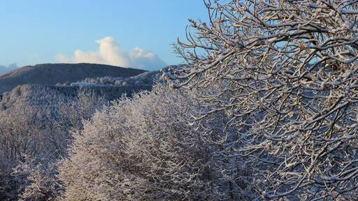 A snow-covered landscape with a village in the valley, a hill with sparse trees, and a clear sky.