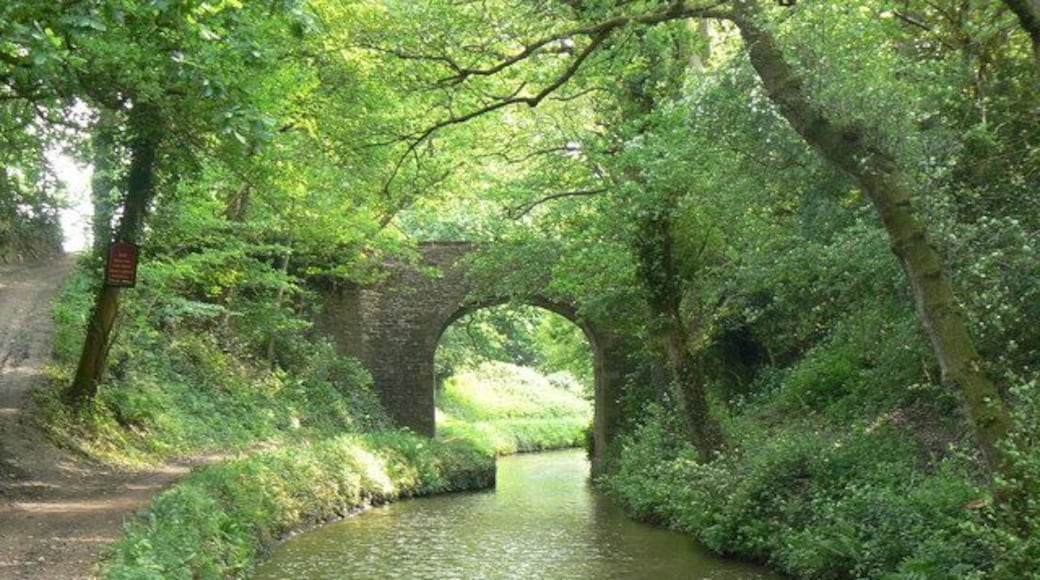 Canal bridge at Mamhilad