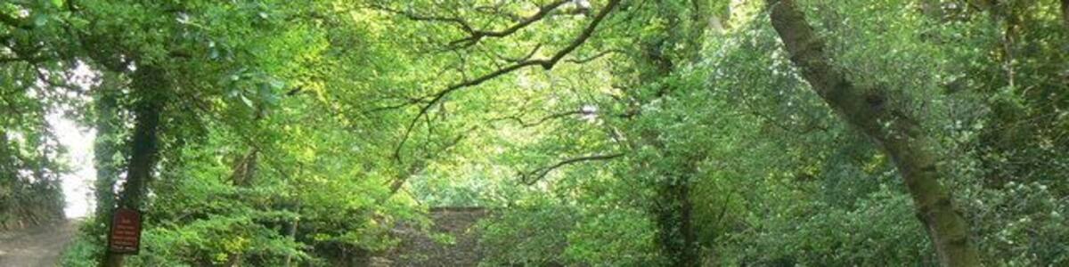 Canal bridge at Mamhilad