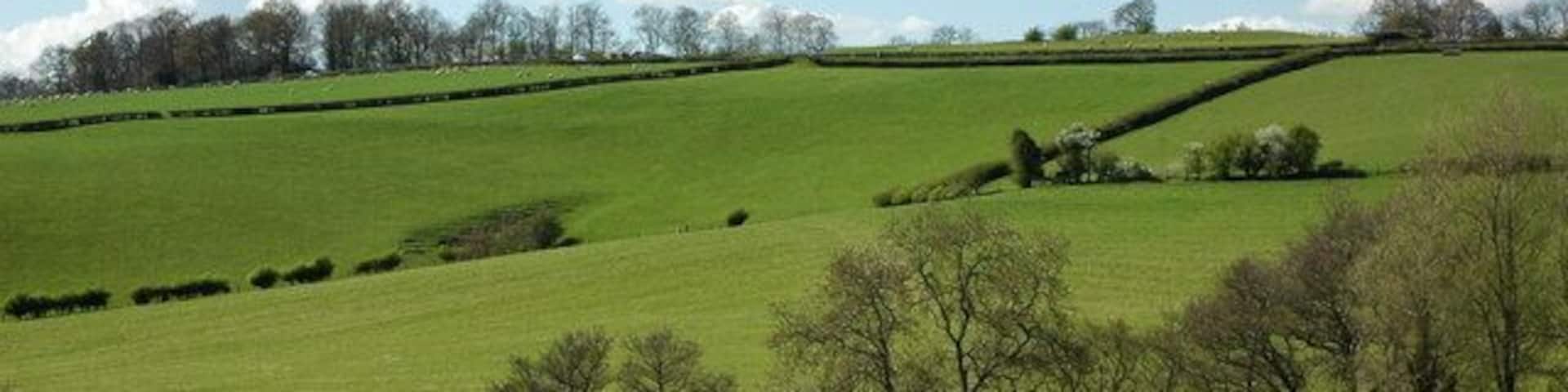 Farmland at Llanhennock Rolling farmland to the north of Llanhennock, Cae Camp is visible on the skyline.