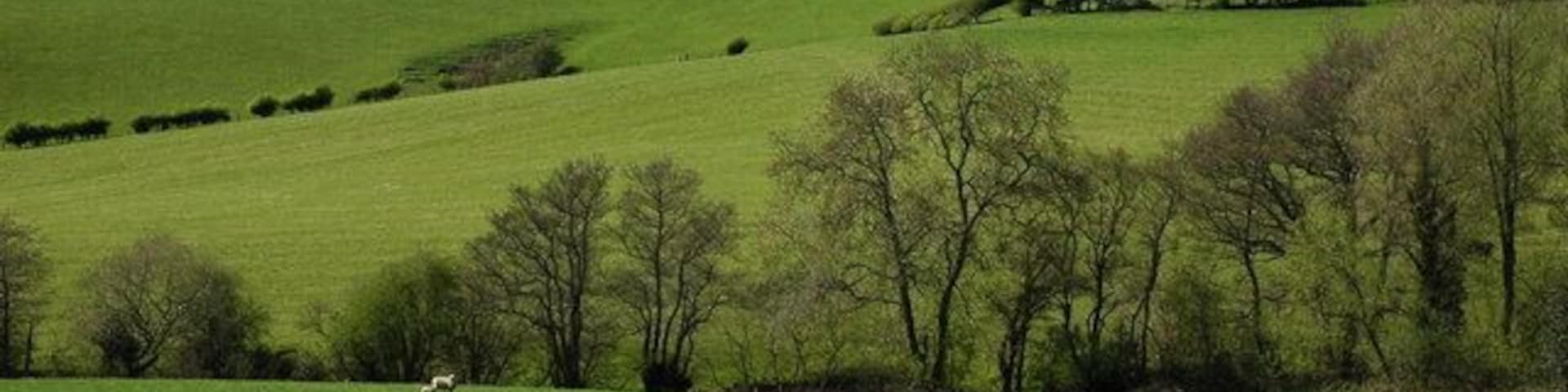 Farmland at Llanhennock Rolling farmland to the north of Llanhennock, Cae Camp is visible on the skyline.