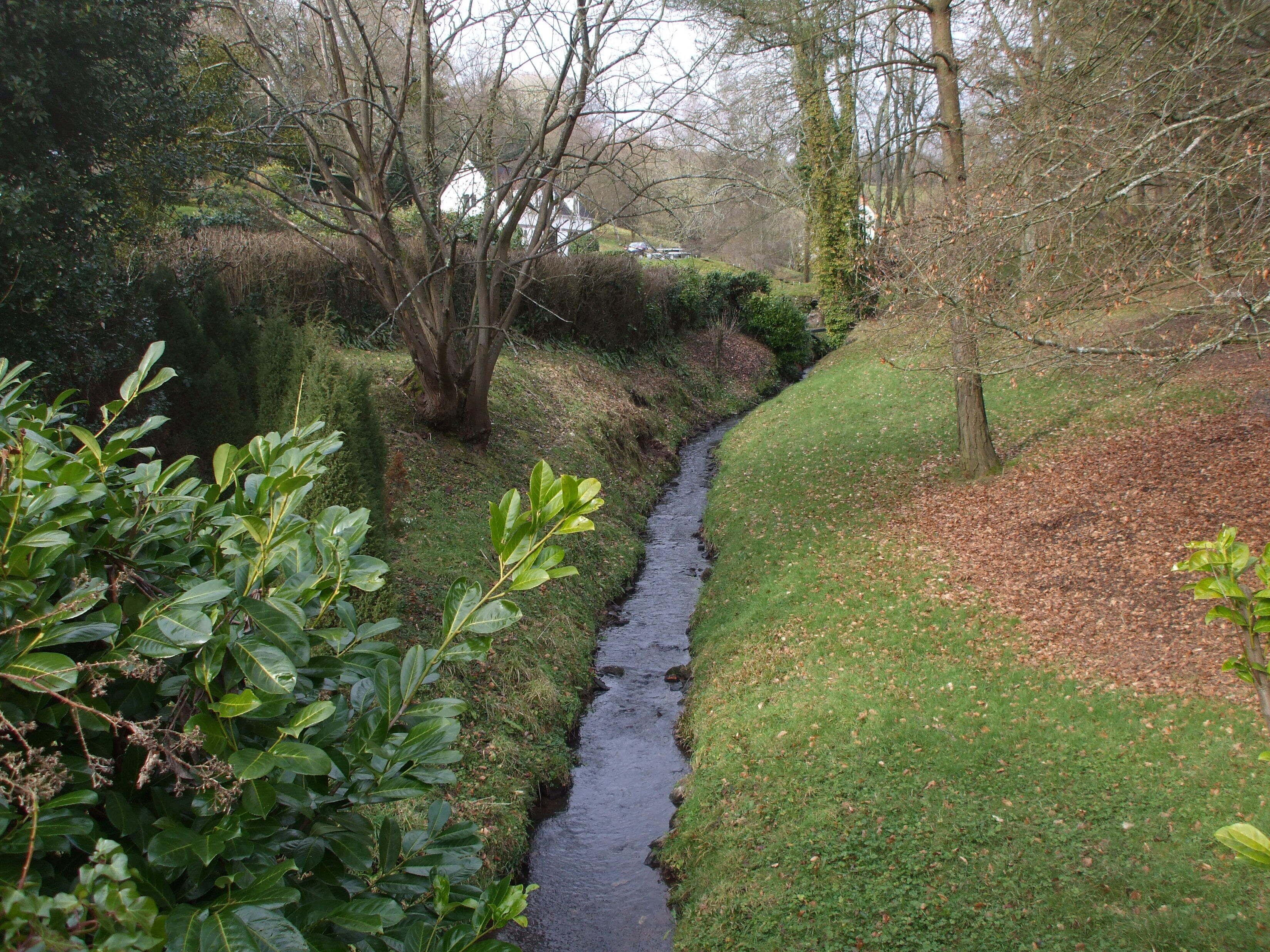 Stream at Ivybridge