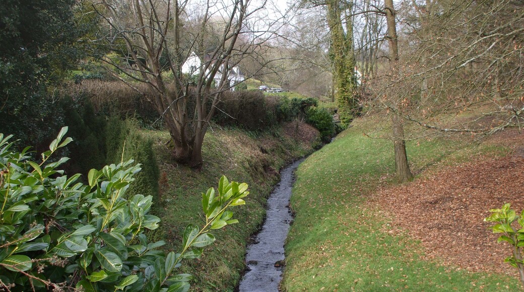 Stream at Ivybridge
