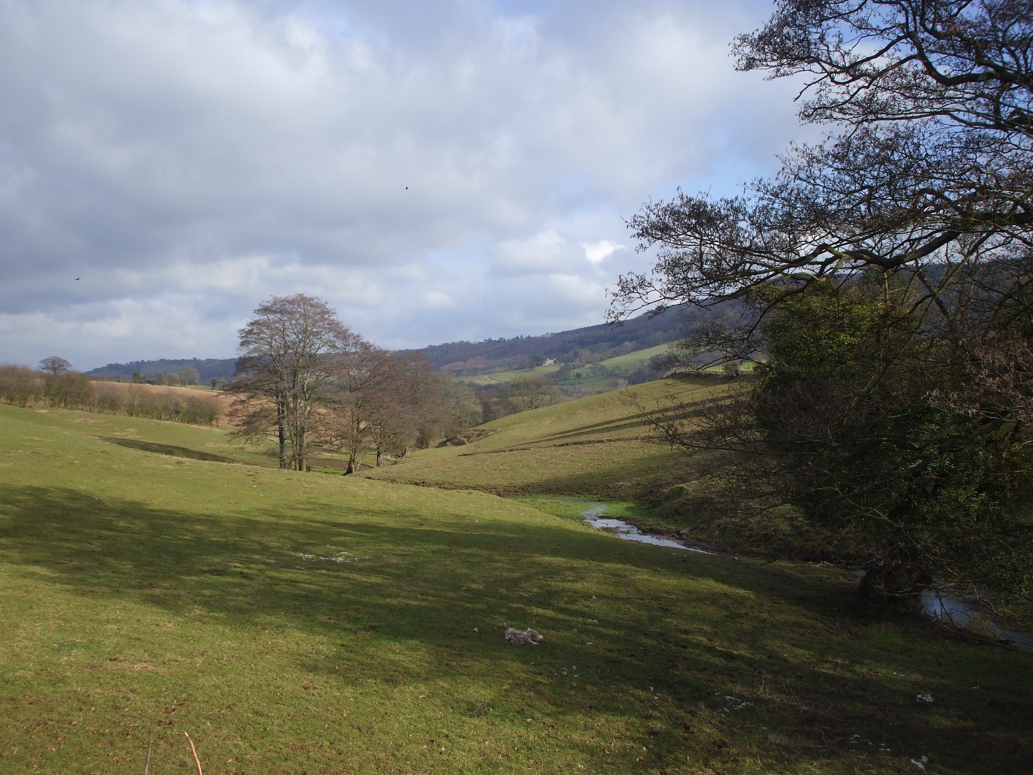 Stream running down to the Usk