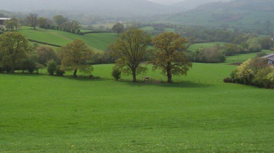 View to the Honddu Valley and the Black Mountains. This is taken from Offa's Dyke National Trail and looks south west over fields towards the Honddu Valley and beyond