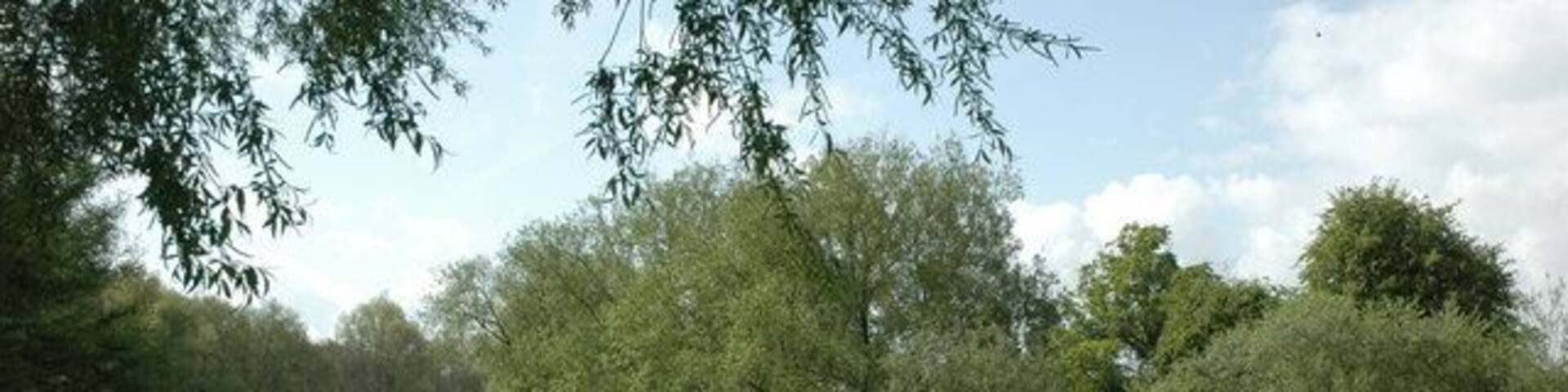 River Usk near Clytha Park The River Usk viewed from the Usk Valley Walk near Clytha Park.