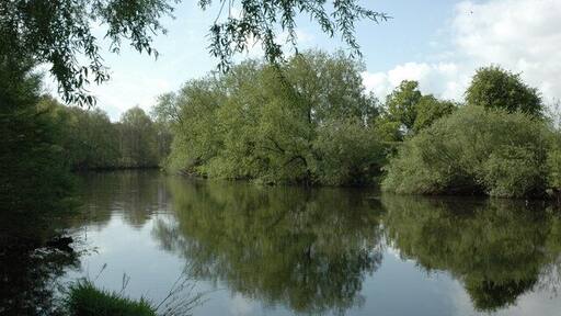 River Usk near Clytha Park The River Usk viewed from the Usk Valley Walk near Clytha Park.