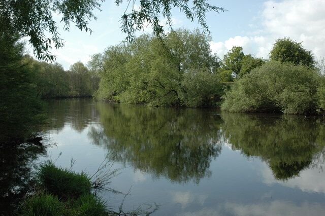 A calm river with dense trees reflecting on the water.