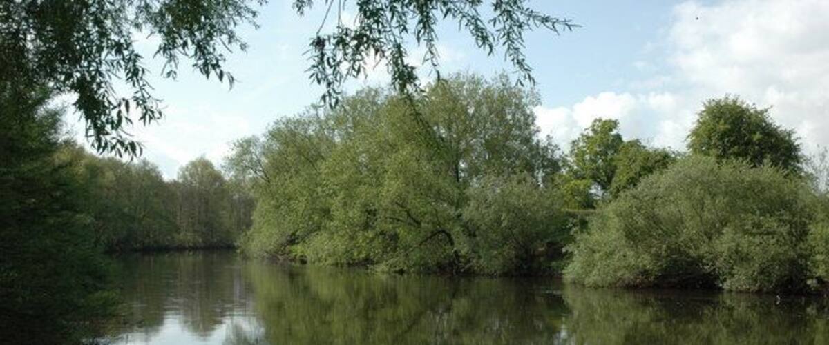 A calm river with dense trees reflecting on the water.
