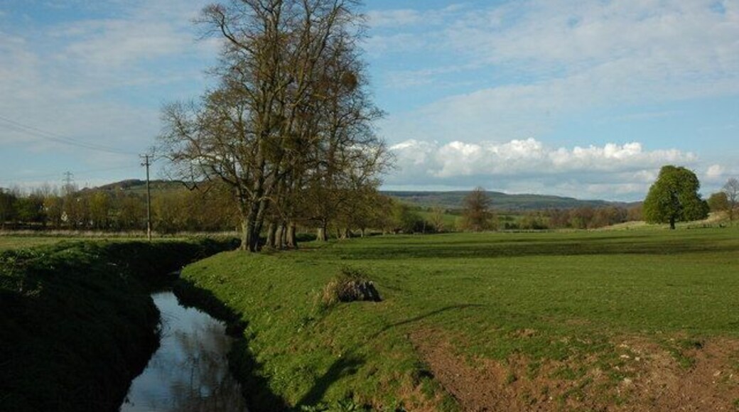 Monks Ditch, Llanwern Monks Ditch viewed from the road bridge at Llanwern.