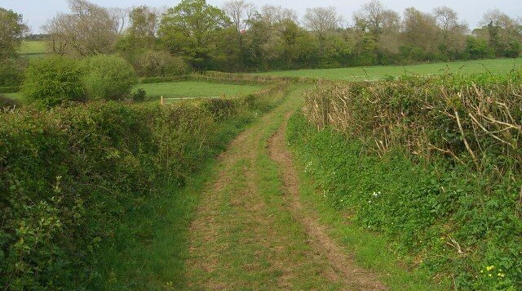 Green Lane