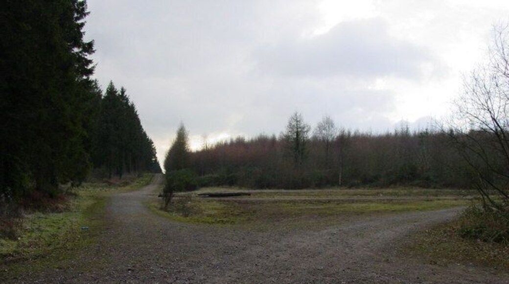 The meeting of the ways. This location is called 'The Five Paths' and lies within the Wentwood Forest Monmouthshire. There are many fine woodland walks hereabouts.