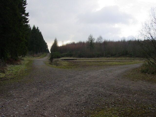 A gravel path in a forested area with trees and a cloudy sky.