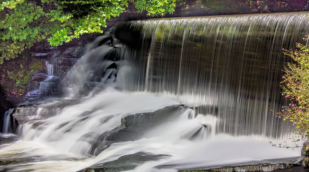 A small waterfall easy to get to near to Neath in South Wales. Some say this is a photographers dream. More so if you are disabled like me.