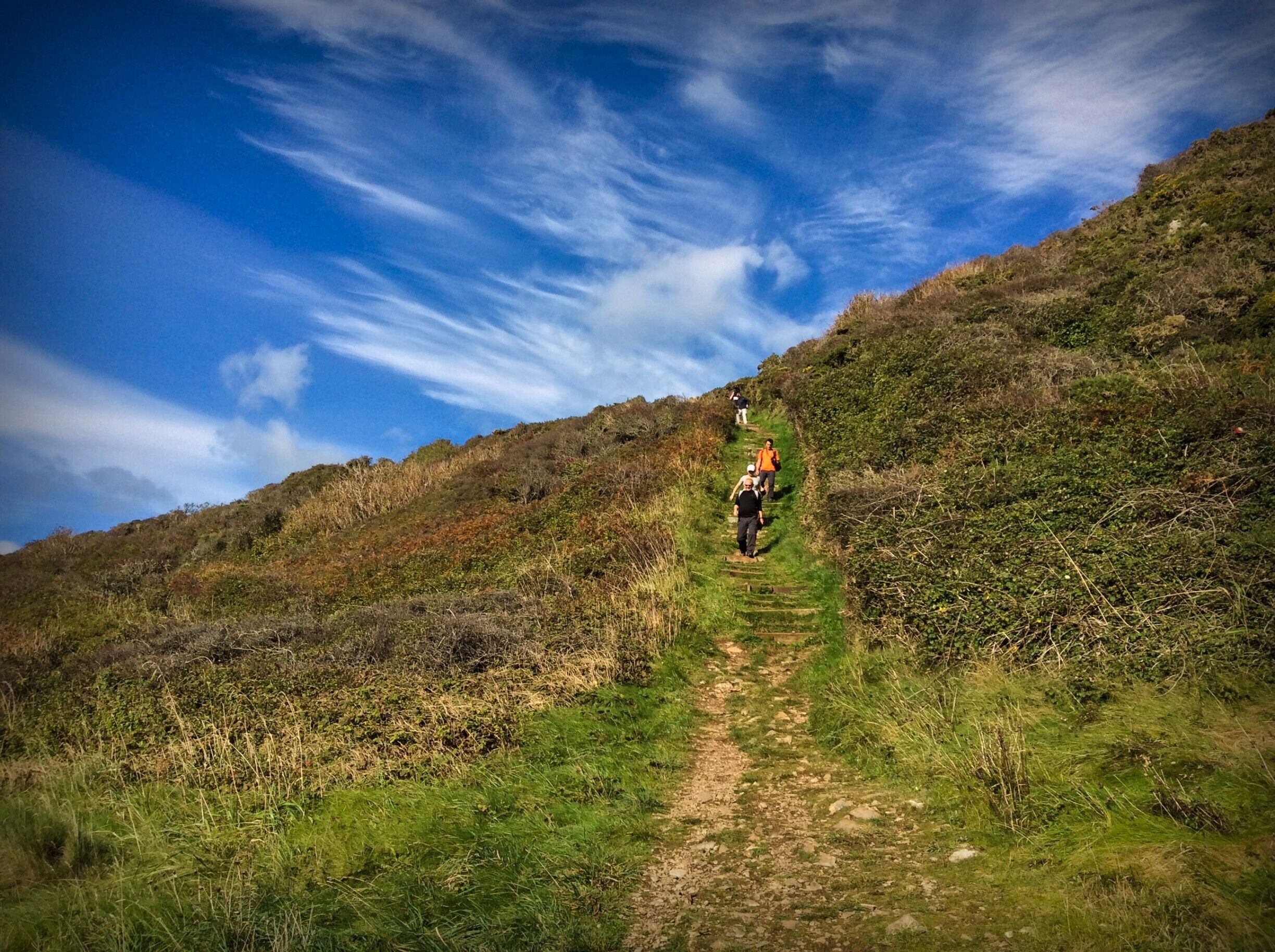 Why should things be easy to understand?
Thomas Pynchon

Water, like humans, wants to go downhill.  Gravity, our great great Grandfather, attracts everything to the centre of the object with the largest mass which, in our case, is the Earth.  Why there is gravity is a much deeper and more difficult question.
#hiking

http://www.universetoday.com/75705/where-does-gravity-come-from/